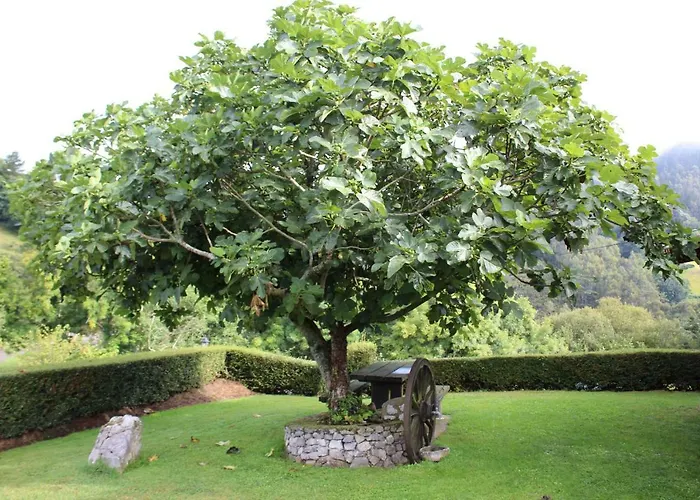 La Quintana Sinariega